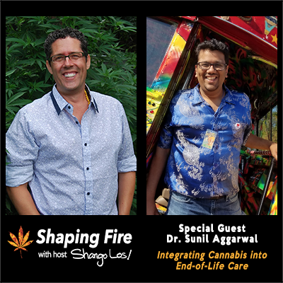 ShapingFire's tweet image. On this episode of @ShapingFire, host @ShangoLos welcomes back Dr. Sunil Aggarwal @AIMSInstitute3 to talk about integrating cannabis into end-of-life care, dosing protocols, and how to address objections from family and institutions. Listen at ShapingFire.com