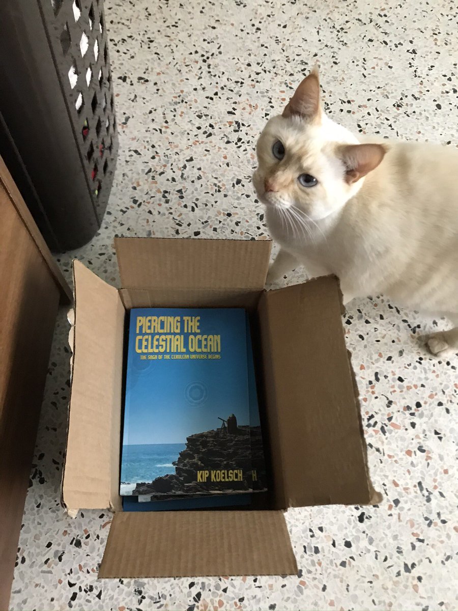 Has anyone in the U.S. ordered author copies from Amazon recently? Just wondering if there turnaround time has improved at all since the summer. Lolie and I need to know... #writingcommunity #5amwritersclub #indieauthors #WritersCafe @IndieAuthorIAC https://t.co/QJgIUb71uV