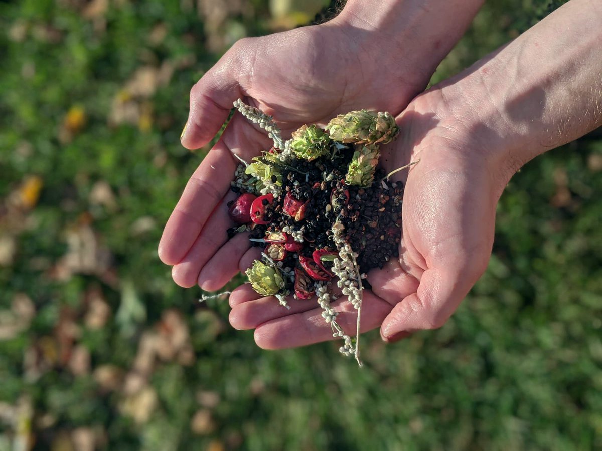 Can you recognise any of these dried ingredients? They're ALL in our Winter Botanical Drinking Vinegar! Most of the ingredients are Sussex foraged, and some like the rosehips have come from <a href="/rockfarmveg/">Rock Farm</a> where we've planted our Drink Forest Garden. Read more on our blog!