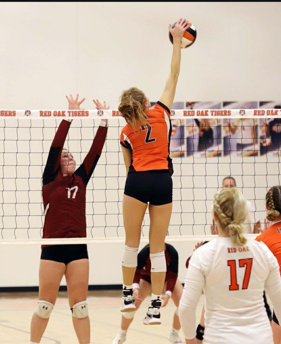 This blocker didn't have a chance! Get it Liz!!! #swi3dvb #shes3d