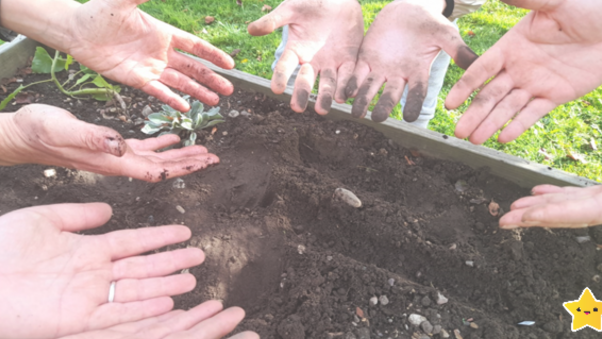 Redwood1_'s tweet photo. Gardening in the Allotment with Maples OT today 🥕🥬🧅@MaplesDept #HealthyFood https://t.co/yee39fvrmF