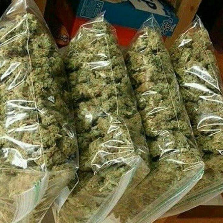 Labrous07443488's tweet photo. Plan weed🌿👇Livraison à domicile
WhatsAp+337 52 90 03 88
Télégram :https://t.co/osiWPoW0E2
#france #paris #SMOK #beuh #hasch #franceverte #meditation #maruajuna #weed #creteil #sochaux #lorient  #orne #Annecy_live #tours #brive #bastia #psg #shit #rastabot #Gucci #Mr_pro_verbe https://t.co/NE7mmwJoBo