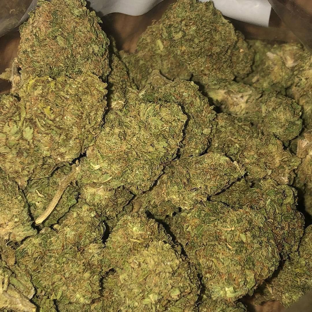 Labrous07443488's tweet photo. Plan weed🌿👇Livraison à domicile
WhatsAp+337 52 90 03 88
Télégram :https://t.co/osiWPoW0E2
#france #paris #SMOK #beuh #hasch #franceverte #meditation #maruajuna #weed #creteil #sochaux #lorient  #orne #Annecy_live #tours #brive #bastia #psg #shit #rastabot #Gucci #Mr_pro_verbe https://t.co/NE7mmwJoBo