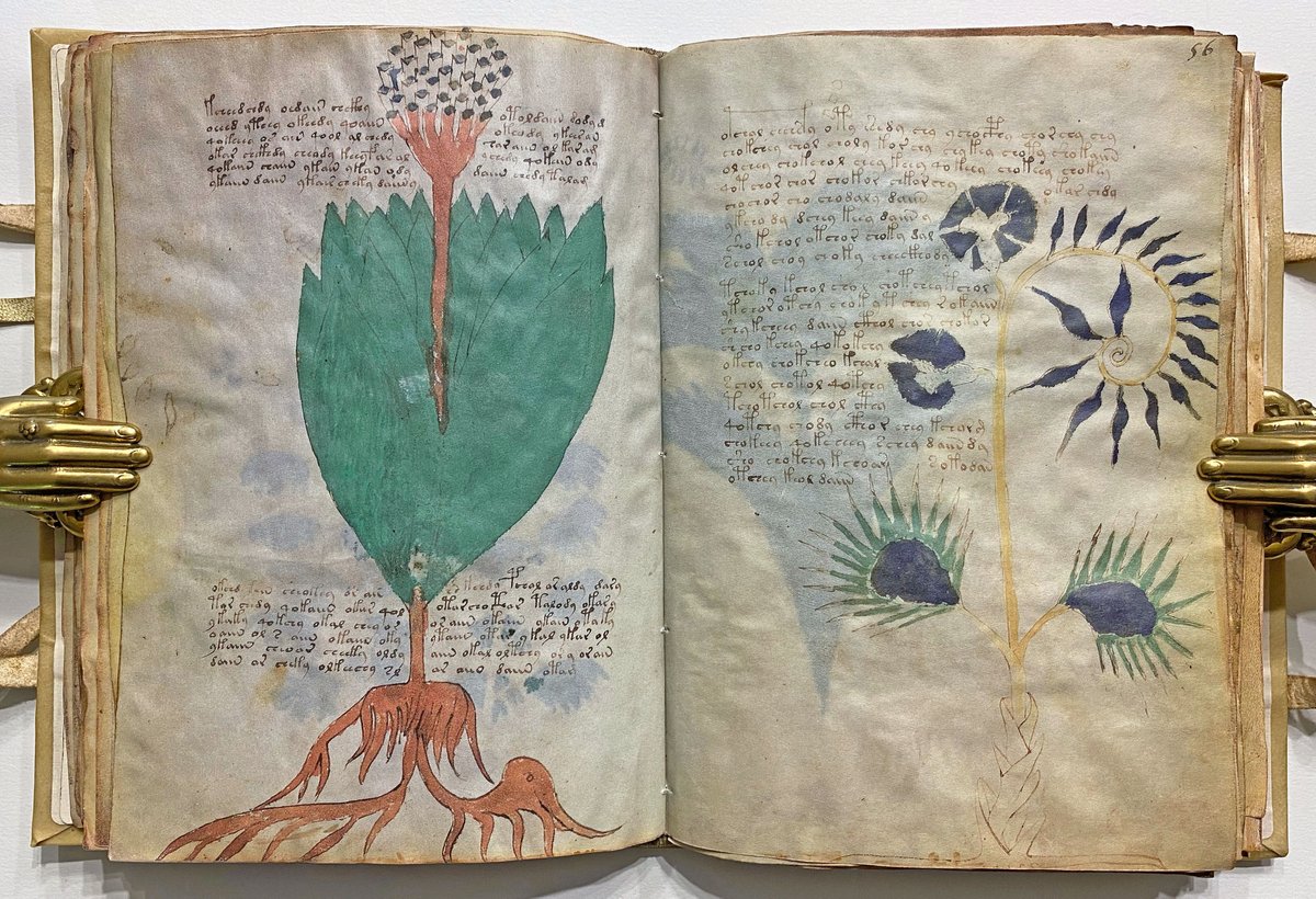 voynich manuscript facsimile voynich manuscript facsimile