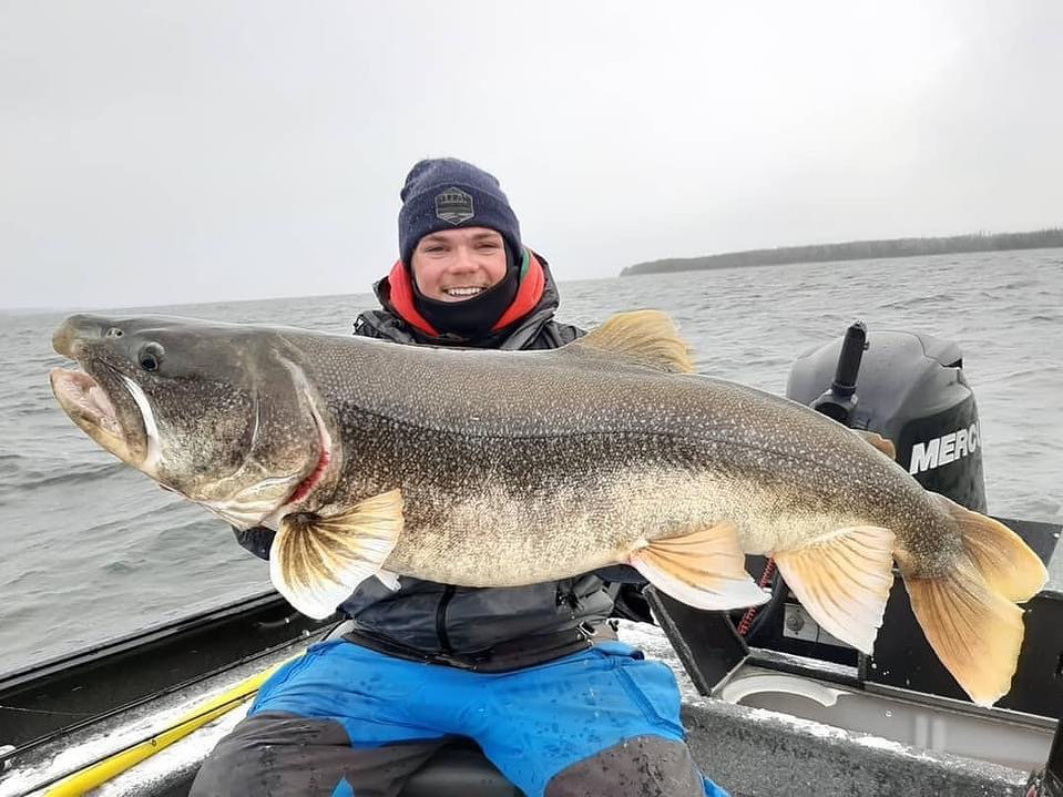 MercuryMarine photo