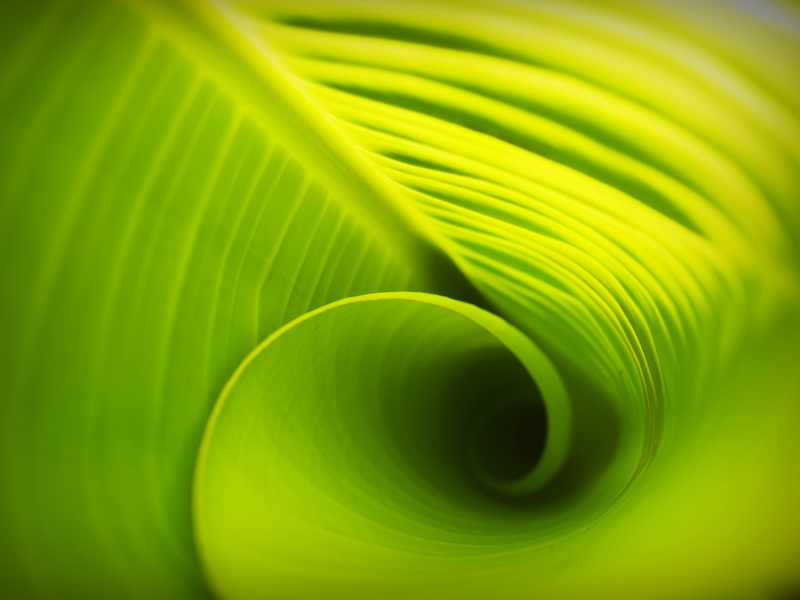 arc_wessex's tweet photo. Still 3 places left for our Autumn School with @ecr_brc for early career researchers - now it's all virtual see more: https://t.co/MHpN8jS1hd
Learn about:

- Managing a #research #career

- Achieving a work-life balance

- Strategies for connecting and working with others https://t.co/DMPwiTLU7D
