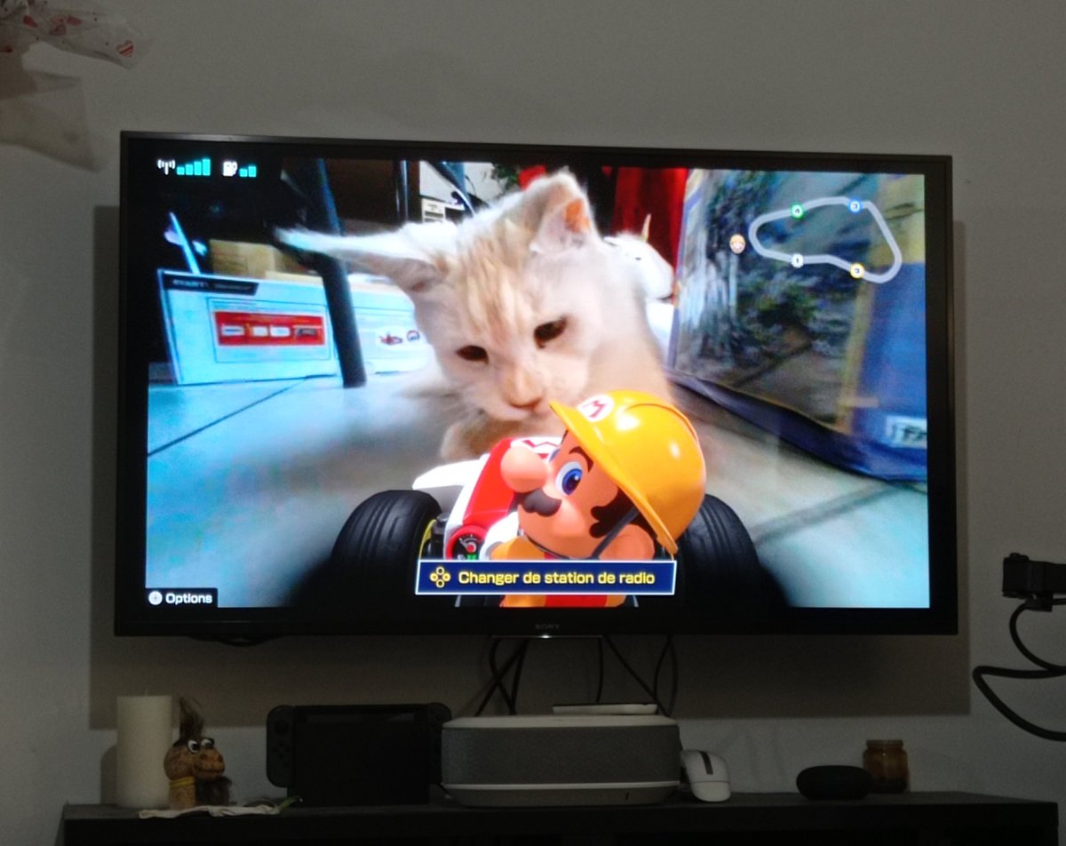 CallMeFlowie's tweet image. C&apos;est l&apos;anniversaire de mon @GGolp_ aujourd&apos;hui ! ❤️

Il a reçu son cadeau. Mais les chats mènent la vie dur à #Mario  ! 😅

#MarioKartLiveHomeCircuit