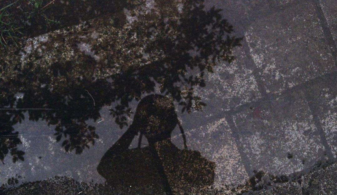 hanbinpost's tweet image. instagram user shxxbi131 is back with his aesthetically pleasing pictures