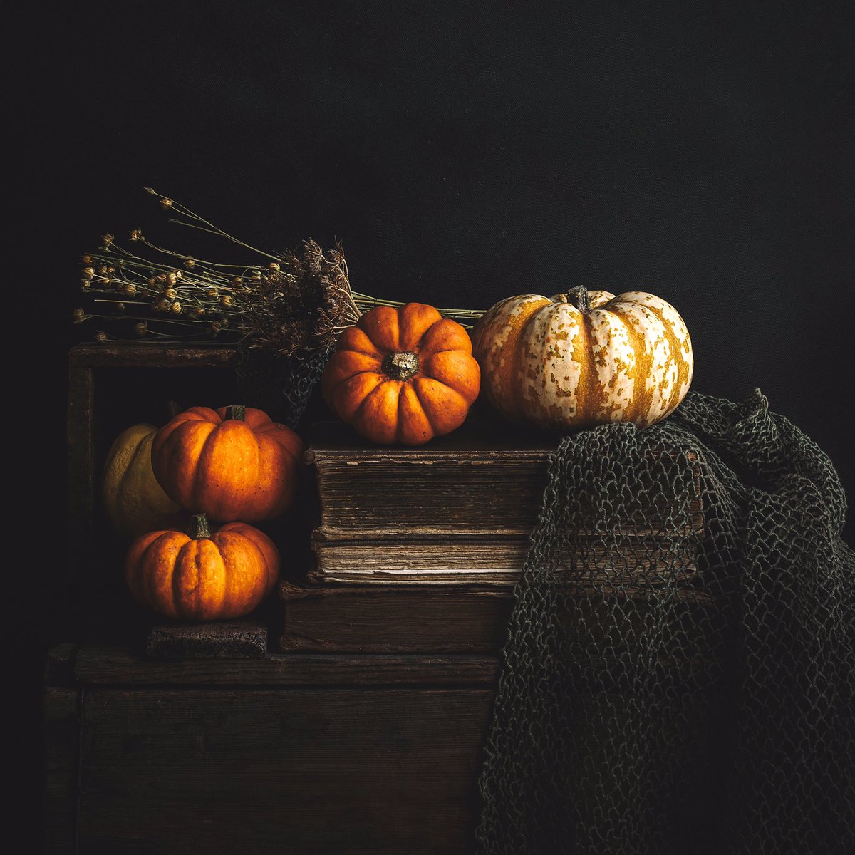 Wshing_Well's tweet image. You either love pumpkin season or you are wrong 🎃🍂
•
#stilllife #mycovidcreation #canonrebel @KelbyOne