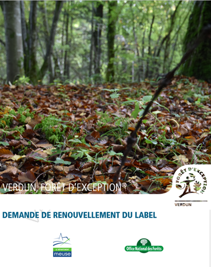 DamienGalland1's tweet photo. Cet aprÚs midi le comité de pilotage de #Verdun #ForetdException a validé le contrat de projet et la demande de renouvellement du label pour 2021/2025
Passage au comité national le 8 décembre !
Travail collectif remarquable
@deptmeuse @GrandVerdun @Prefet55 @regiongrandest https://t.co/7OKNuR7qDb