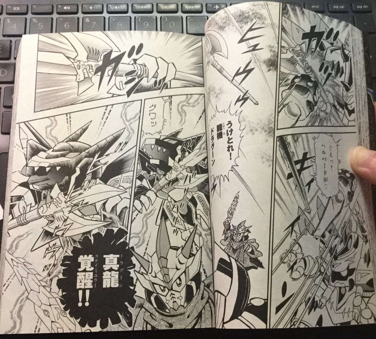 The halberd is knocked out of Xamelord's hand and it is caught by Dragoon on Zero's orders."DRAGOON STIMULI!!"The Dragoon transforms into a humanoid form.