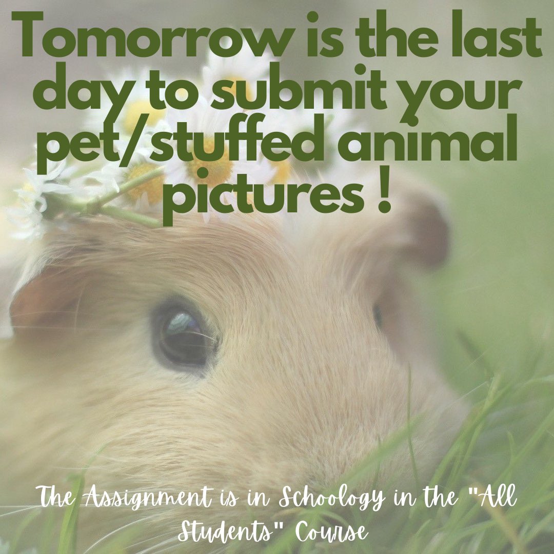 Tomorrow, 10/23, is the last day to submit your pet/stuffed animal pictures! The assignment can be found in schoology in the “All students” course. Submit them while you still can!🦅🦅 #ehsmindsmatter