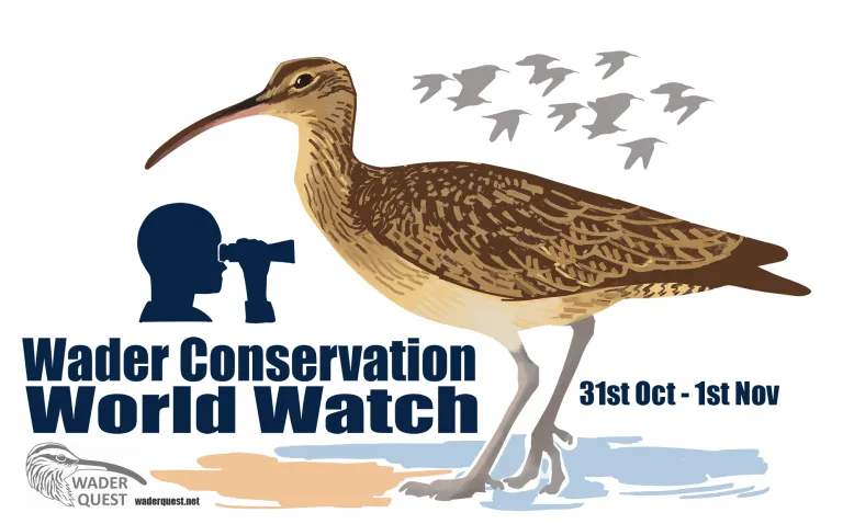 lschibley's tweet photo. An invitation to #InternationalShorebirdSurvey contributors. Conduct your surveys during @waderquest World Conservation World Watch #WCWW7 and make it count double! 

Celebrate shorebirds, and we will celebrate you!

Oct 31 and Nov 1

#Shorebirds
#Waders
#Inspired https://t.co/hShFy08nKA