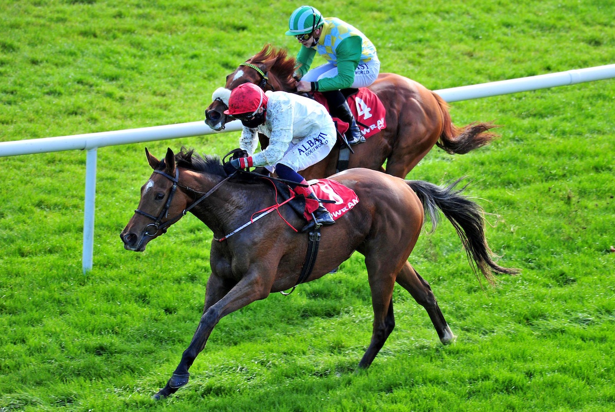 Stack_Racing's tweet image. Pita Pinta Gets Off The Mark At Gowran Park... bit.ly/2TfEGse #StackRacing
