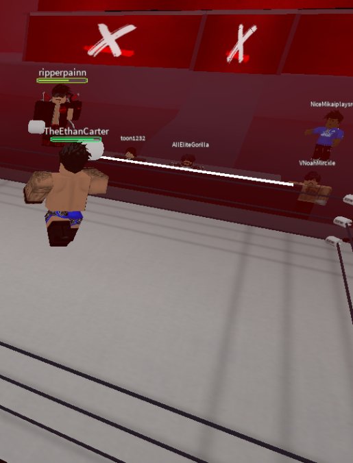 XEW | Xtreme Elite Wrestling tweet media