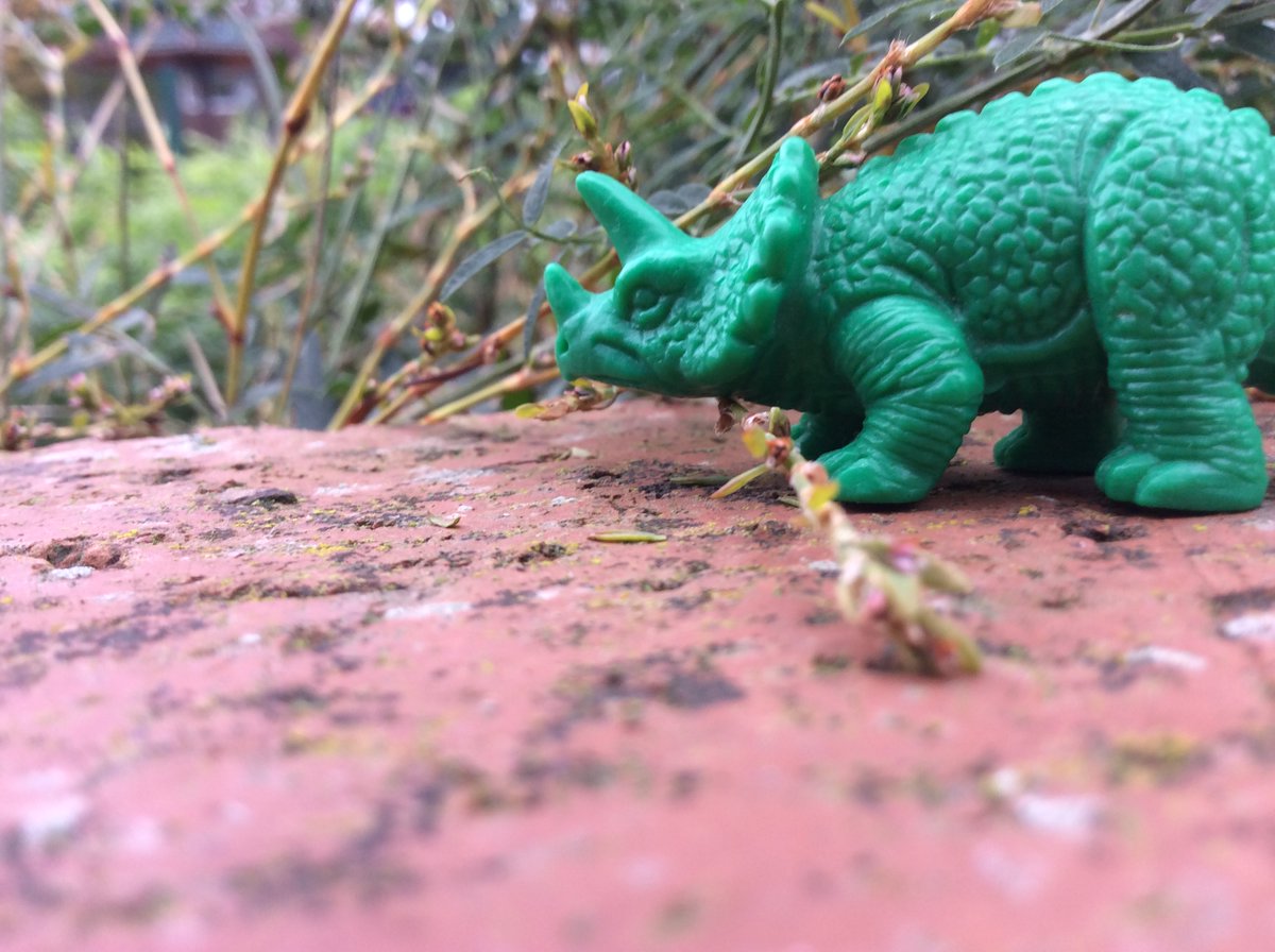 Durham Lane Primary tweet media