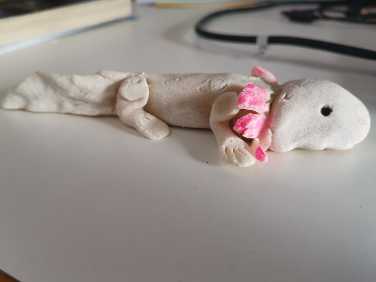 When I first started in the school I'm currently in, I told the children that when I have my own class (as I'm supply at the moment) I wanted an axolotl as pet. Today a little girl brought me a salt dough one. It is the cutest thing ever 💕 #supplylife #nqt #bubblestheaxolotl