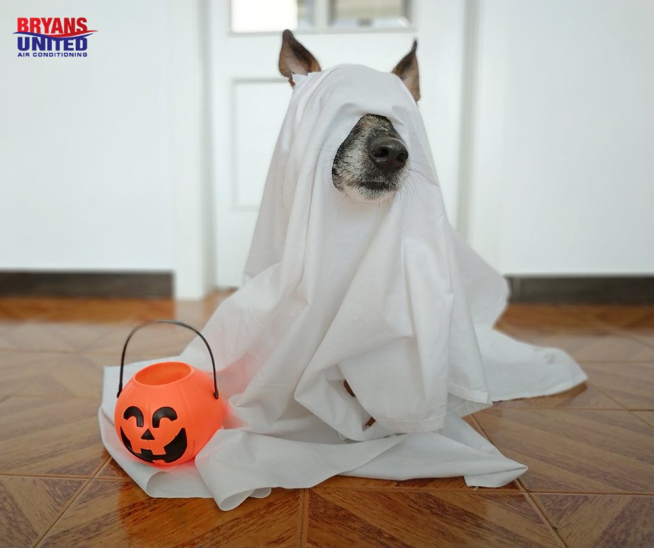 BryansUnited's tweet photo. Our current specials are spooktacular! Have you checked them out yet? https://t.co/t8JdJM7IZP https://t.co/CI53t1OvIQ