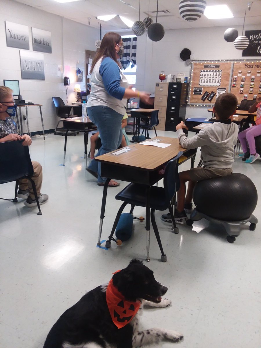 mbarnum7's tweet photo. Mrs. Doty and Daisy the therapy dog 🐾 are teaching #SES 3rd grade about "who's in control of you?" and making wise choices in life. Teaching the whole child! #NoLimitSES #GuidanceIsGreat @FS_Schools https://t.co/bPEQxxUix5