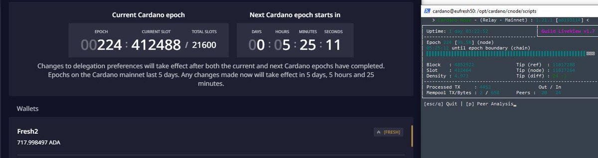 Fresh Ada Pool tweet media