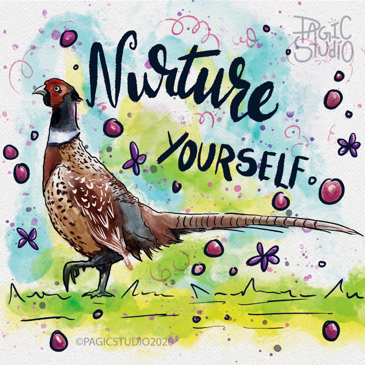 pagicstudio's tweet photo. Pheasants of India | Pheasant 3 - Ring-Necked Pheasant learn about the pheasant in below link >>https://t.co/xCZfrX6ulH
.
#watercolour #photoshop #pheasants #indianillustator #digitalart #livebrushes #watercolor #photoshop #artist  #brandingstudio #brandingagency #pagicstudio https://t.co/C2rEAS0c2C