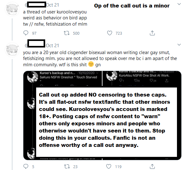 Fanti "call outs" be like:"Warning about (user)! They...-write nsfw mlm fanfic as a WOMAN (uncensored nsfw)-rt nsfw art of underage characters as a WOMEN (more uncensored nsfw)----oh and also they're an adult and were in a gc where adults and minors shared porn fanart