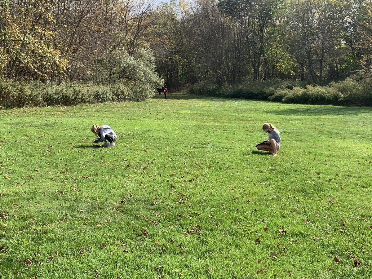 Fibonacci sequence in nature durning out math walk <a href="/southoldelem/">Southold Elementary</a>