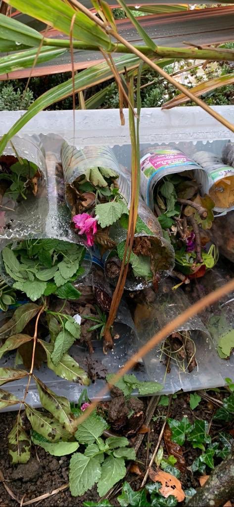 StTeresasRoch's tweet photo. A big thankyou to parents for the ‘big hotel’ donations. We had a fantastic time gathering and building, then writing instructions on ‘How to build a bug hotel.’#nature #bugs #environment https://t.co/6NOJnLWbCl