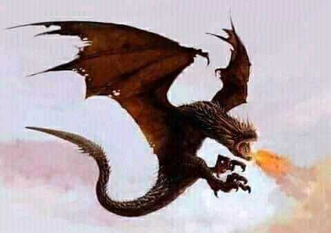 JusticeOkams_'s tweet photo. Remember they couldn't show us the snake that swallowed 36million, But our peaceful youth took time to snap the Dragon that burnt those places.. 
We didn't protest with matches na🤷

Ndi oshi😏 #EndSARS #EndPoliceBrutalityinNigeraNOW https://t.co/R5pbywW74E