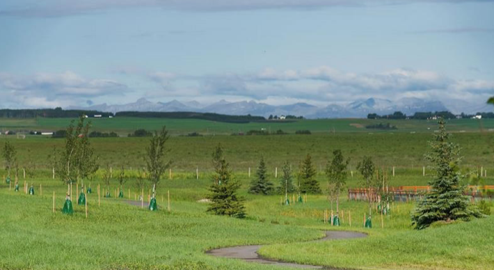 Augusta Fine Homes tweet media