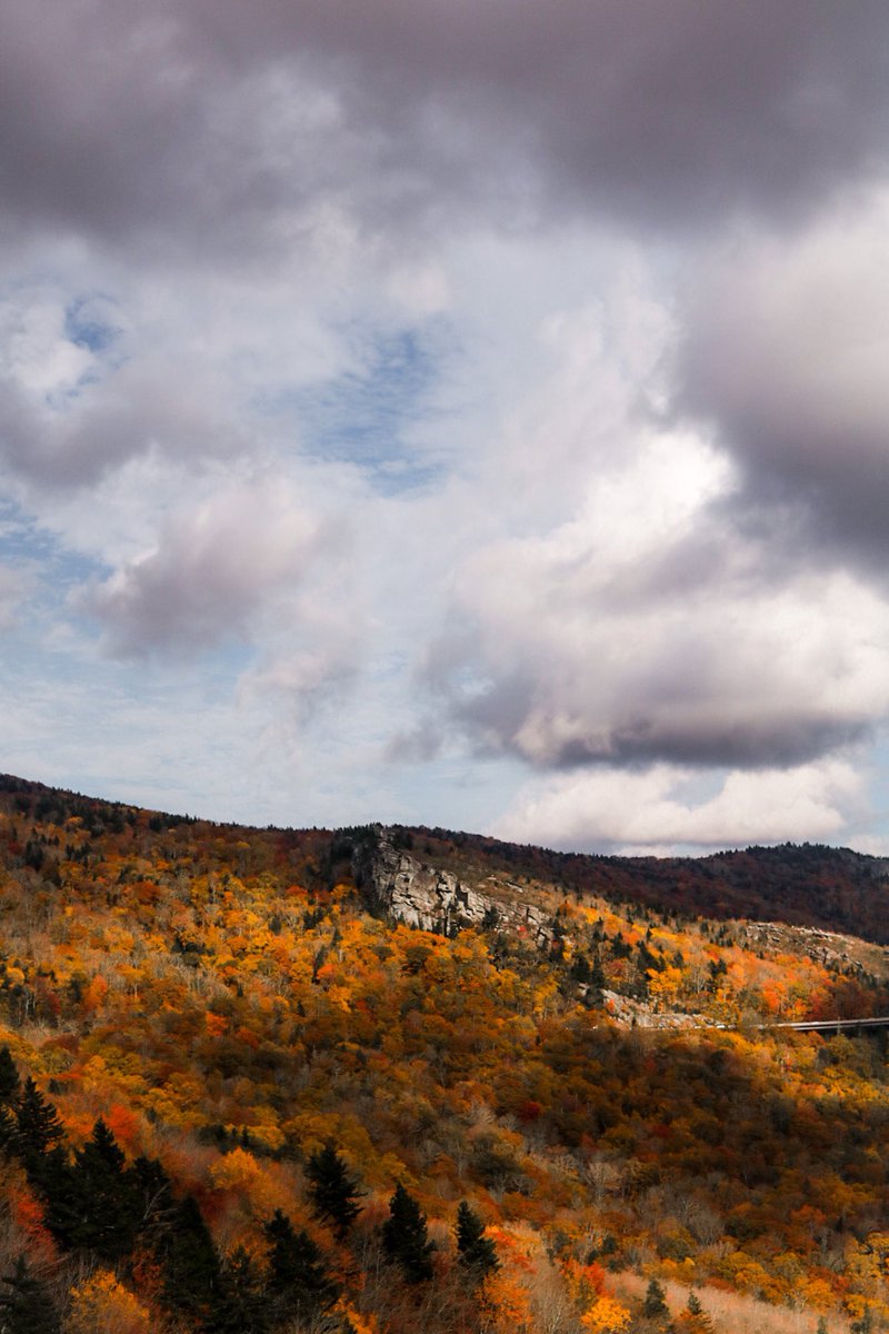 rileycurtisj's tweet photo. A Blue Ridge Fall 🍂🍁 https://t.co/4B3iF12WJp