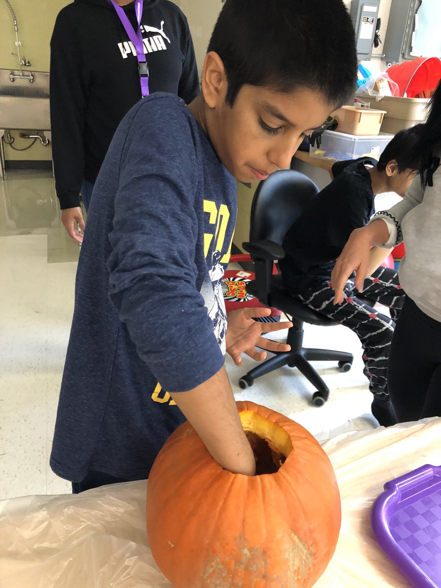 Andrea Tran tweet media