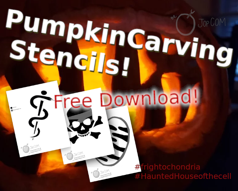 bombMedical's tweet photo. We made some Pumpkin Carving Stencils🎃!! Please let us know how they turn out by tagging us. Free PDF Downloads at  https://t.co/zw2pSqFfva !

#BoneWizardsInTraining #Frightochondria #HauntedHouseOfTheCell #Halloween2020 #pumpkincarving #MedTwitter #MedStudentTwitter https://t.co/rJr81fQKCt