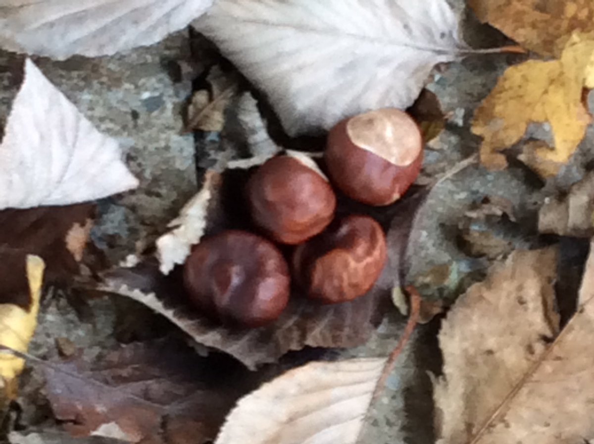 Durham Lane Primary tweet media