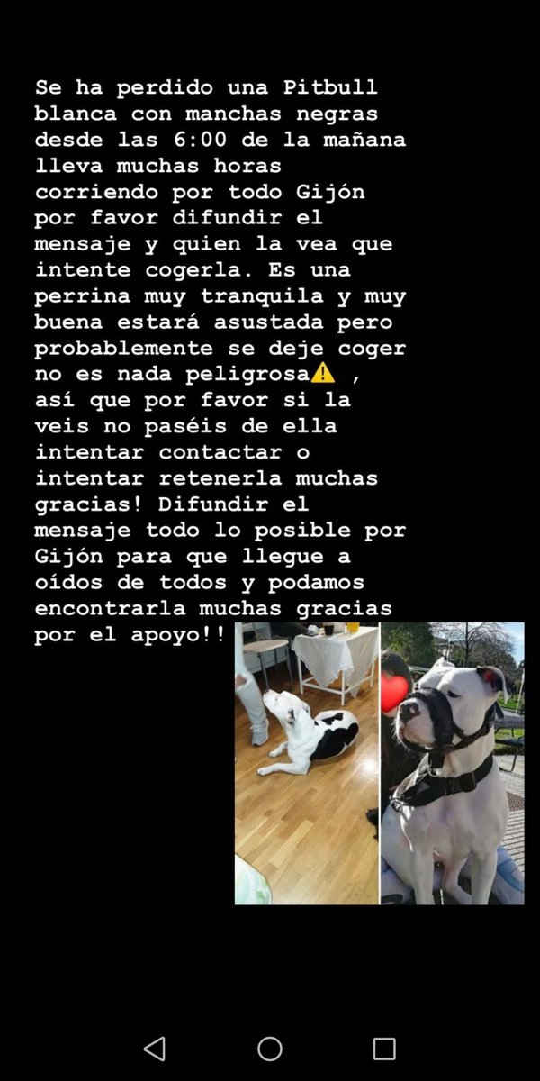 Yooli15's tweet photo. Difundid Gijón por favor!!! ❤️ https://t.co/HRKfF1kCpg