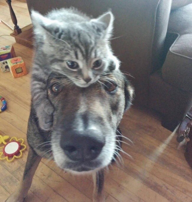 Ля я и мой пес 🐕 😄