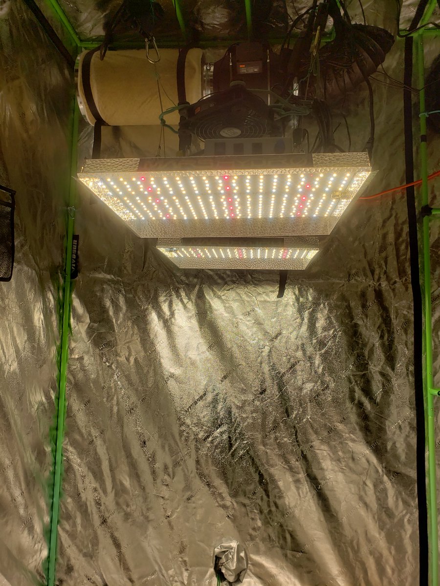Stalkerx15's tweet photo. It starts again. . Added a second light.  I start my seeds under led strip lights .    #WeedLovers #growyourown #CannabisCommunity #StonerFam https://t.co/9vvXs7pvw0