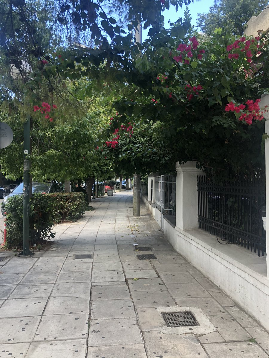 Joined #CiscoCX team today, in #fundraising for #ΚιβωτοςΤουΚοσμου! 
Finished 13km walk around my beautiful town - 3 of those were for you <a href="/ferminlo/">ferminlo</a> 😉
Thank you &amp; our team for supporting #ArkOfTheWorld with me 🤗🤗
Two more 20k sets to go to fulfill my pledge before Sunday 💪🏻😊