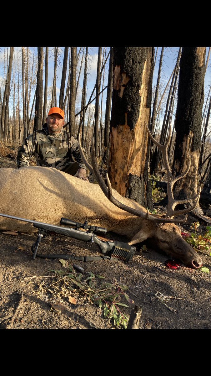 ChaseGalley's tweet photo. It was a pretty good weekend chasing elk. Congrats Dad (left) and Aaron (right) on great bulls! #westernhunter #brothersinthewild #elkhunting #wyoming #gohunt https://t.co/56FqjvO9RK