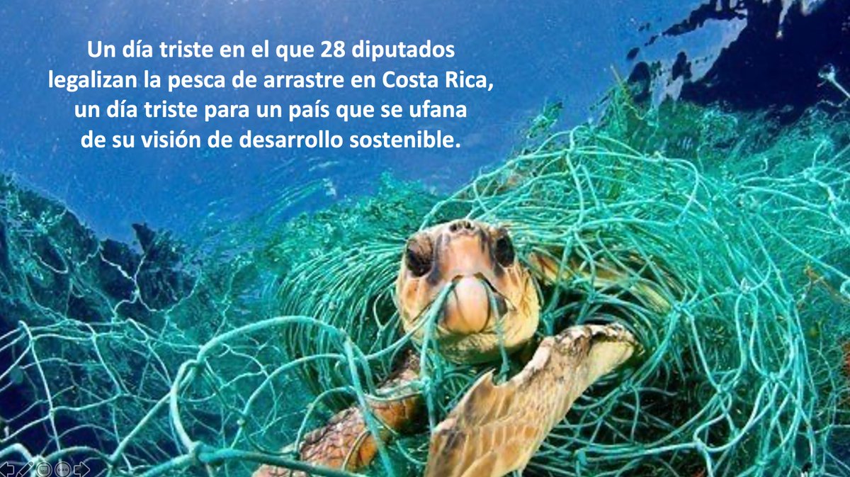 Un día triste en el que 28 diputados legalizan la pesca de arrastre en Costa Rica, un día triste para un país que se ufana        de su visión de desarrollo sostenible. No hay tal cosa como "pesca de arrastre sostenible".