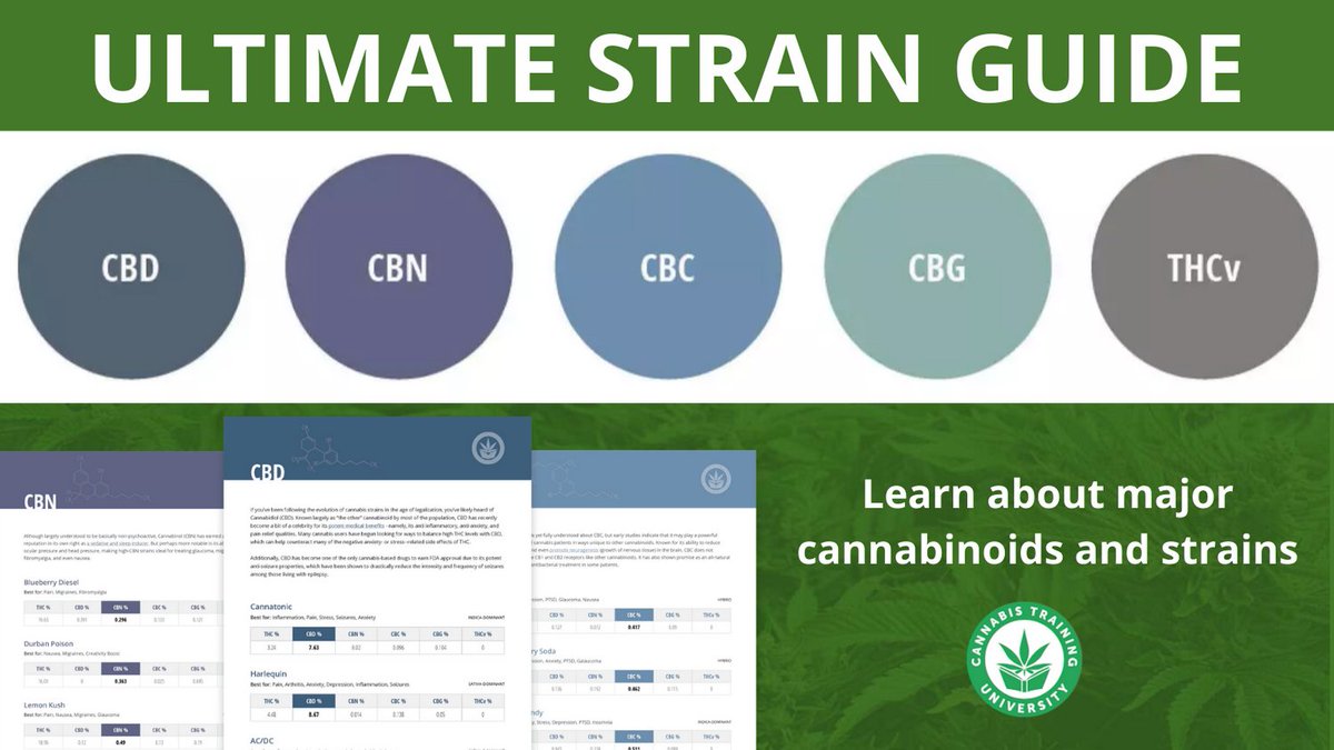 Learn about emerging #cannabinoids & #strains—download our strain guide today to prepare for a #cannabisjob: https://t.co/LprXJWWnbY
#CBD #CBN #THCv #CBG #CBC #marijuana #cannabis #growyourown #medicalmarijuana #edibles #jobtraining #jobs #jobsearch #budtender #dispensary #hemp https://t.co/1vuXbEItR9