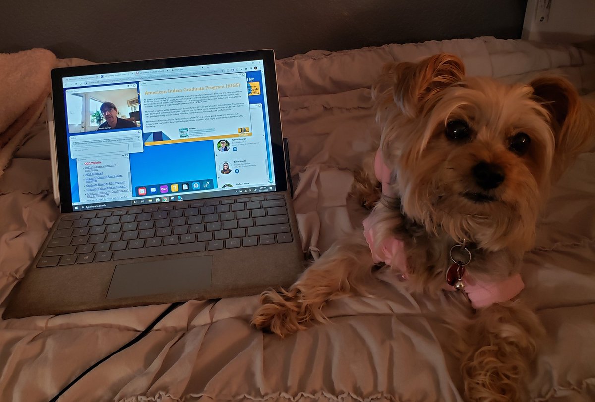 TailarB's tweet image. Getting these nuggets of knowledge with my favorite dog. #gradapps #admissionsfair #berkeleygraddiversity