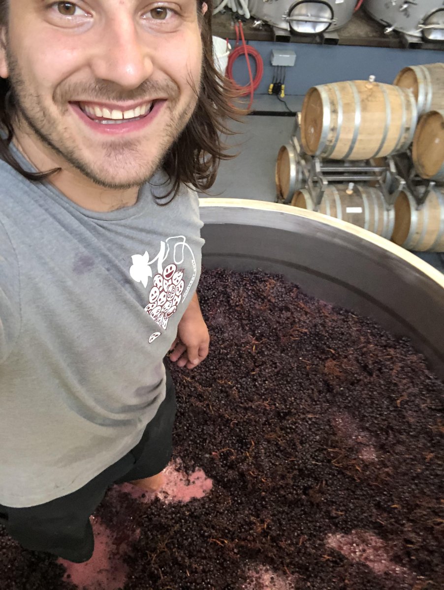 ONE HOUR until the Vin Chicago virtual tour of Trisaetum Winery! 

Our Adam Rose has been knee-deep in making wine, and he and his Trisaetum colleagues will be coming to us live from the Willamette Valley for a special tour.

Join the Zoom at 7pm: conta.cc/3metecS