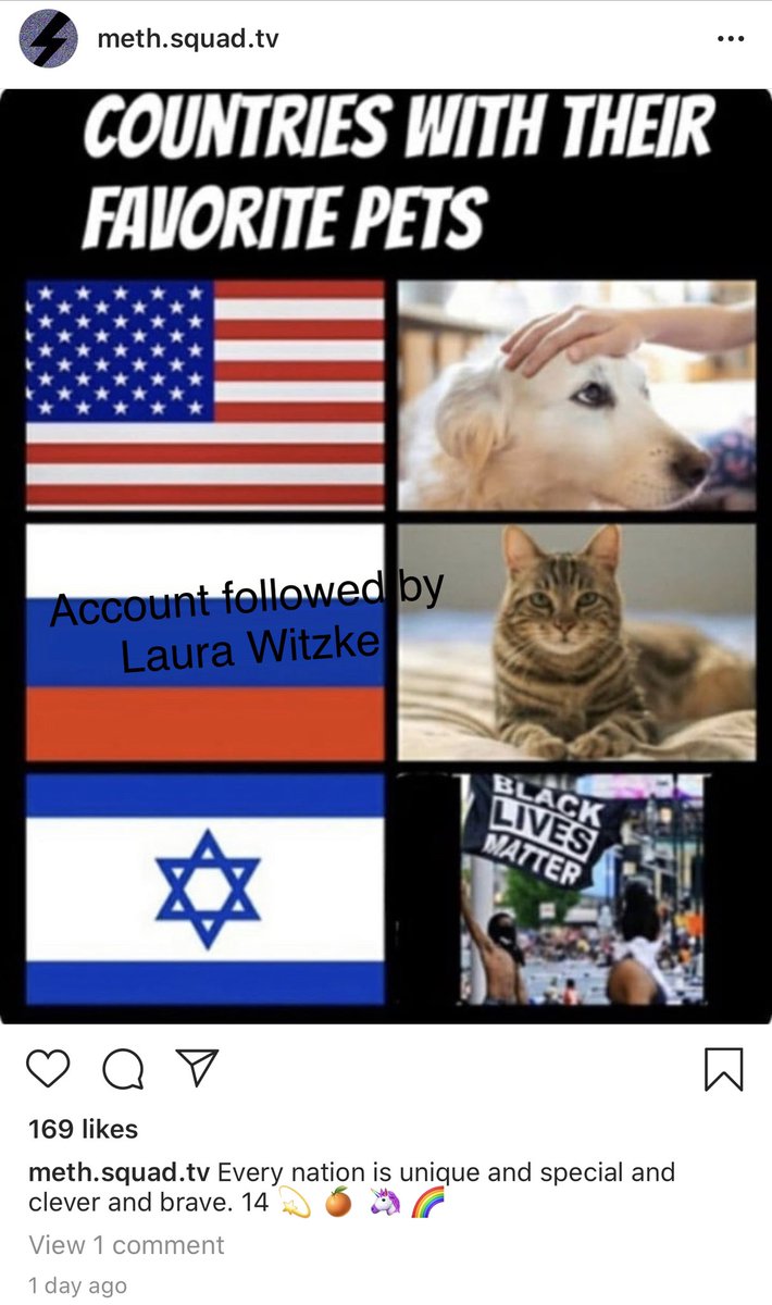 This account followed by Lauren Witzke posts Confederate flags, anti-Semitic memes, and overt racism.