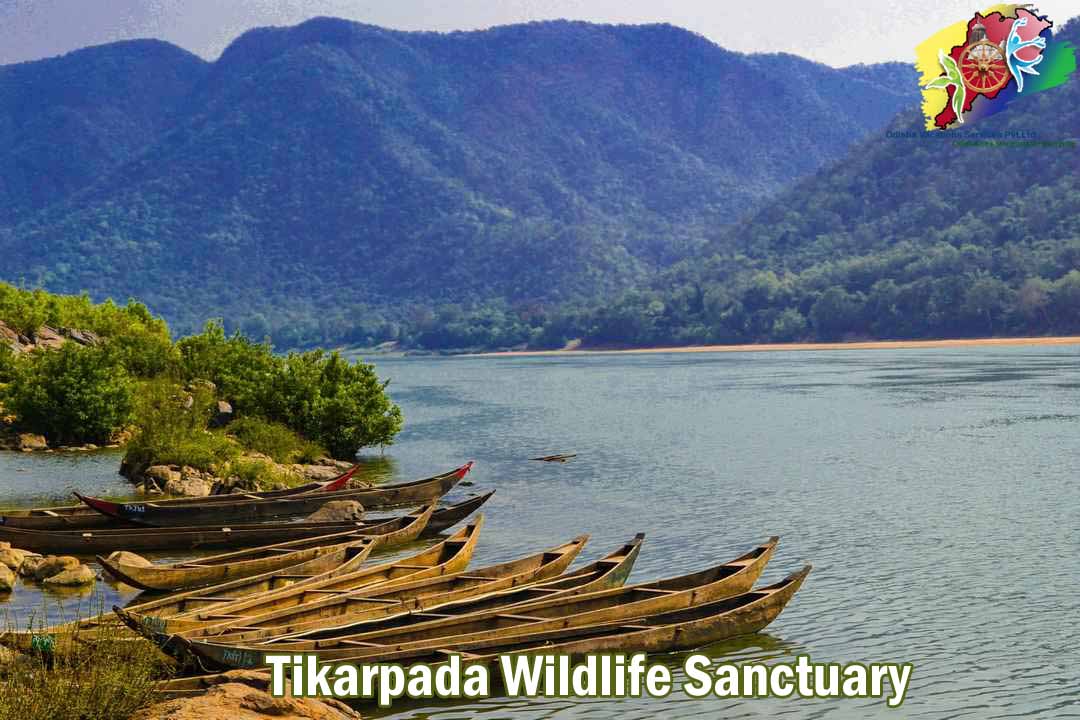 odishavacation's tweet image. #Tikarpada a famous Picnic Spot, with natural beauty is in the river bank of Mahanadi, Odisha.
Odisha Vacations Services Pvt Ltd
odishavacations.com
Call - +91 9338382999
Email - booking@odishavacations.com
#odishatour #odishatravel #odishatourism #odishatrip #odishatourism