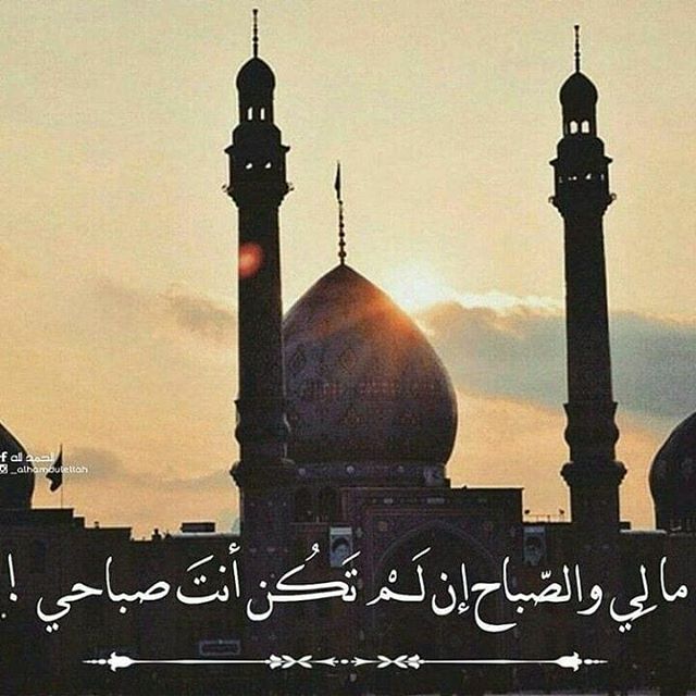 hilla_93's tweet photo. طوبى لمن يُصبح ويمسي وأنتم ذخره
فمتى تـزول الأيامُ العجاف ويأتي عزيزنا ..؟؟ 
 أيّها الصّاحب🥀

#المهدي_المنقذ_العالمي https://t.co/GPdh4L2mvR