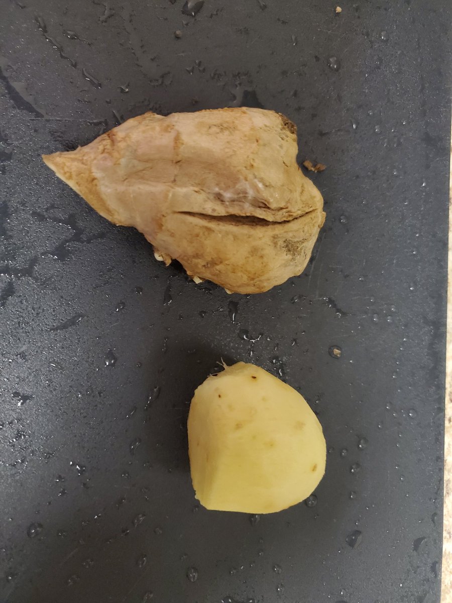Take your raw ginger (above) and shave it naked (below)If the piece is shaped weird and you're afraid of shaving off a fingertip, stick a fork in it so you can keep your fingers on the bottom half.
