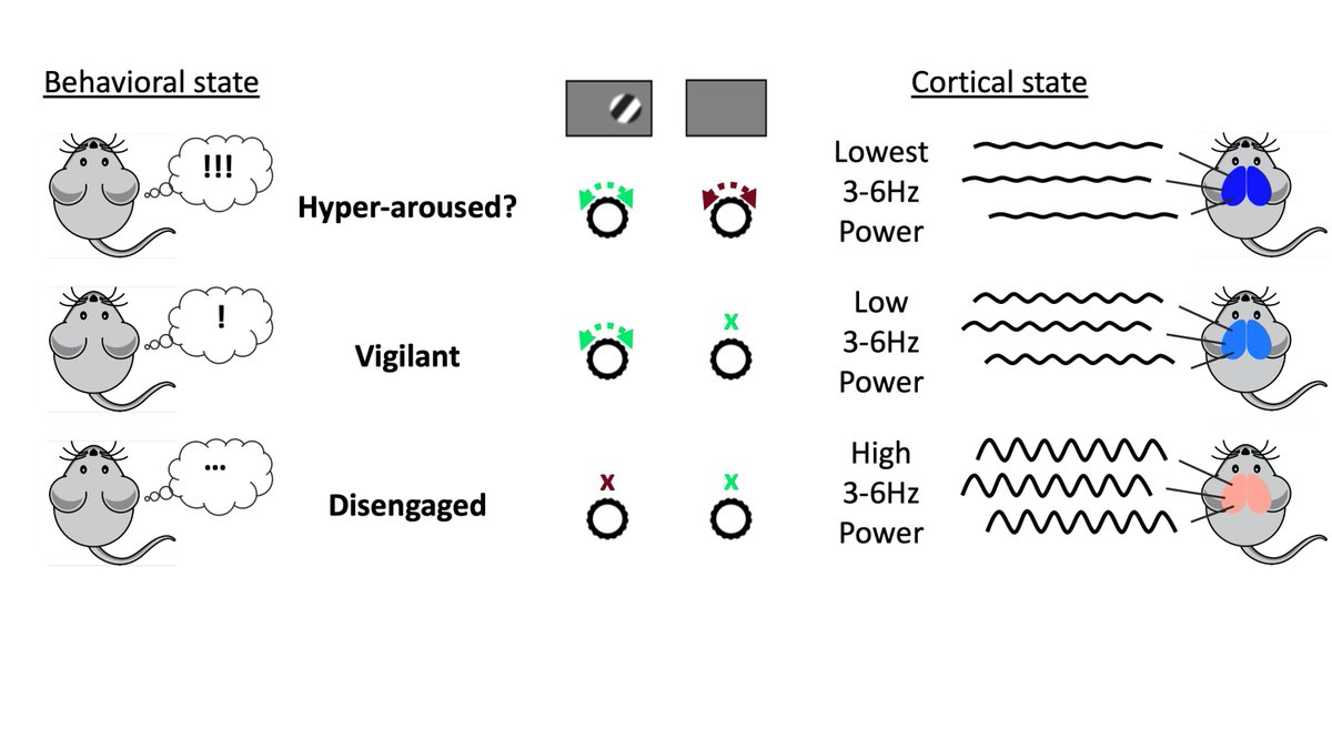 Proud to share that my PhD work with is finally published and available open access in Current Biology!
Cortical State Fluctuations during Sensory Decision Making cell.com/current-biolog… 

Here comes a whirlwind summary... 1/14