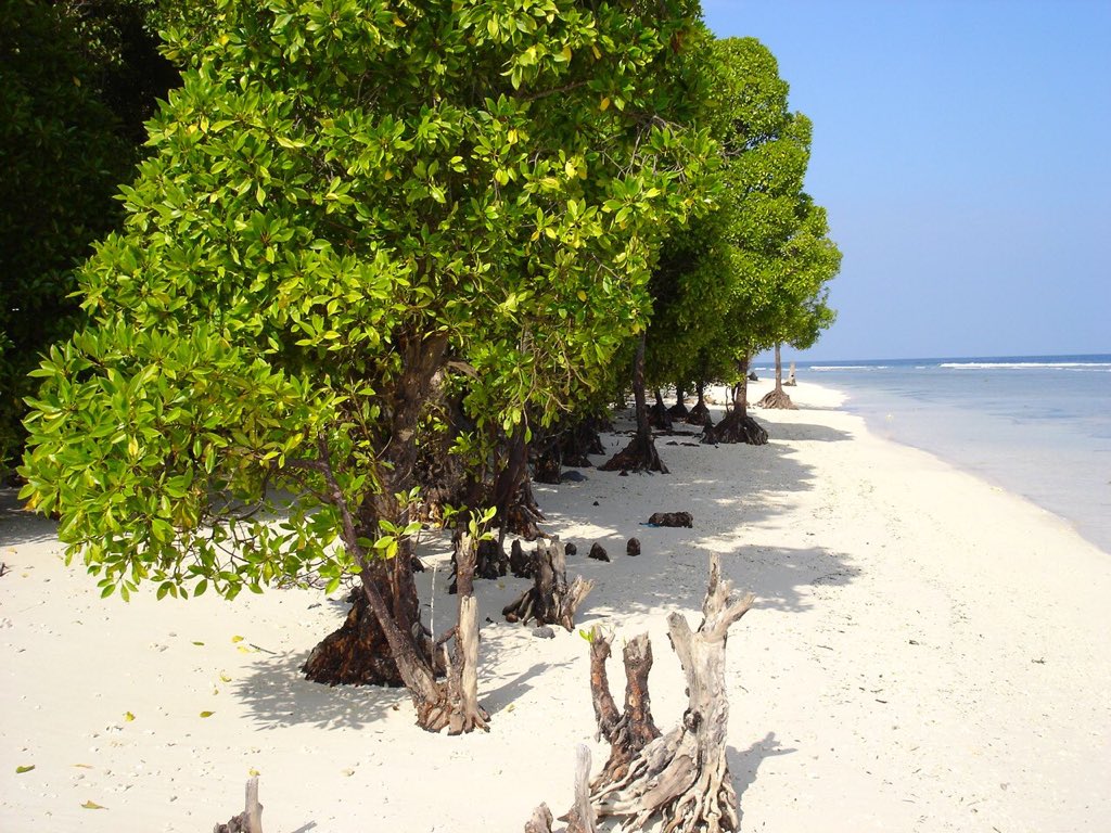 MusthofaaQaasim's tweet photo. @grantshapps Thank you 🙏 ... ! Rediscover #Maldives #SunwillShineagain https://t.co/bGhEpWHdeR