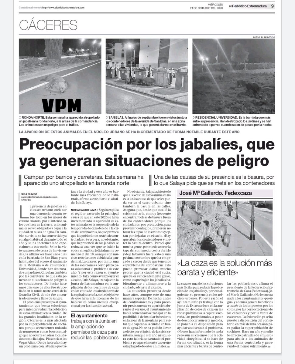 Que les ponga también comederos,que es por lo que  mayormente baja el jabalí por comida,así ayudarán un poquito a las sociedades de caza 😂